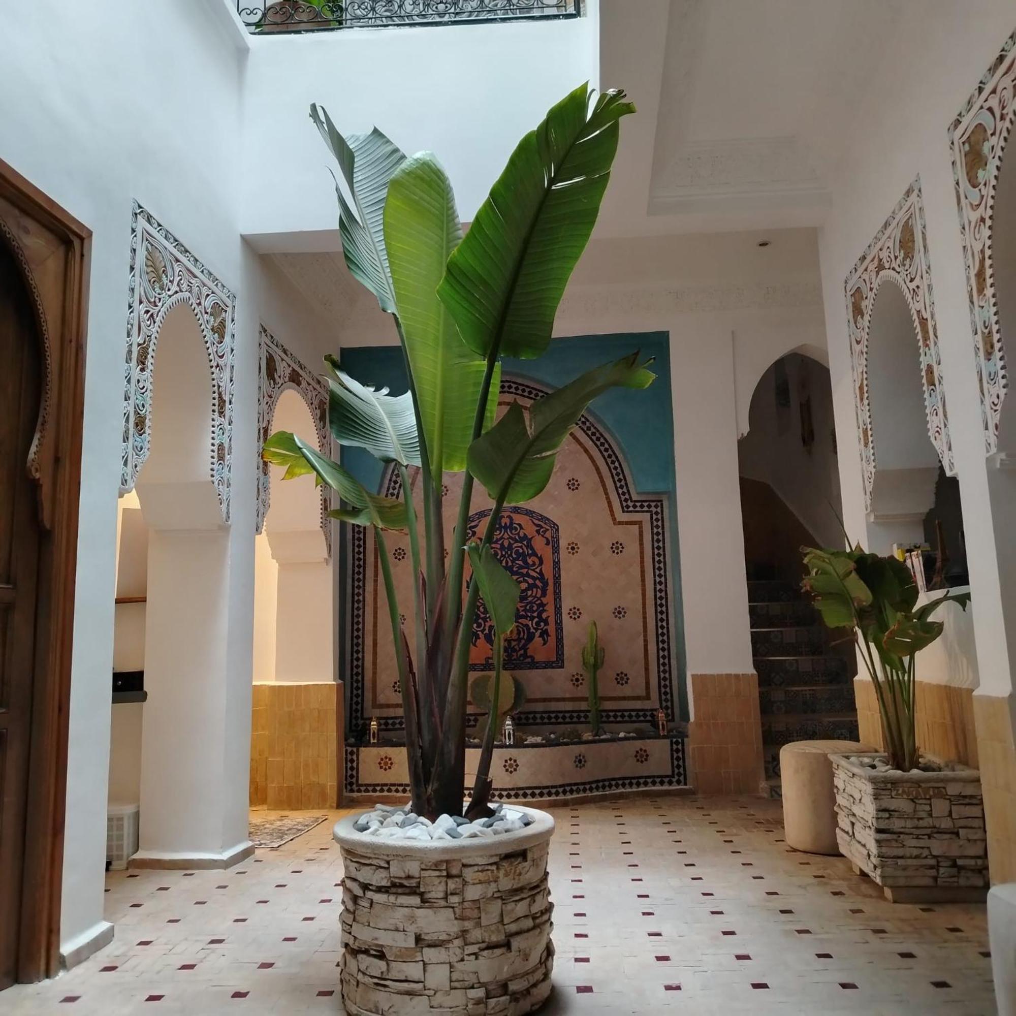 Riad & Spa Sous Le Soleil Chez Jerome Et Pamela Ch Marrakchi 马拉喀什 外观 照片
